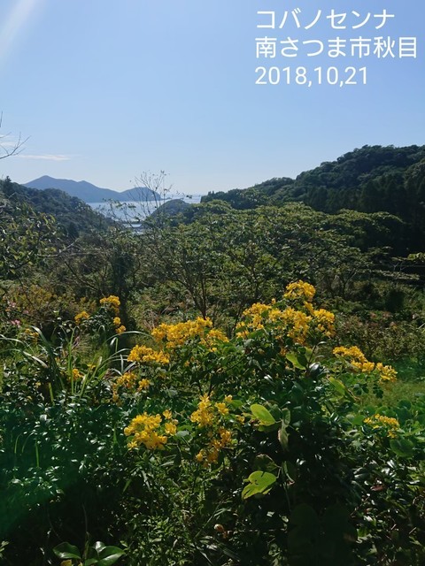 line_12276425901356.jpg