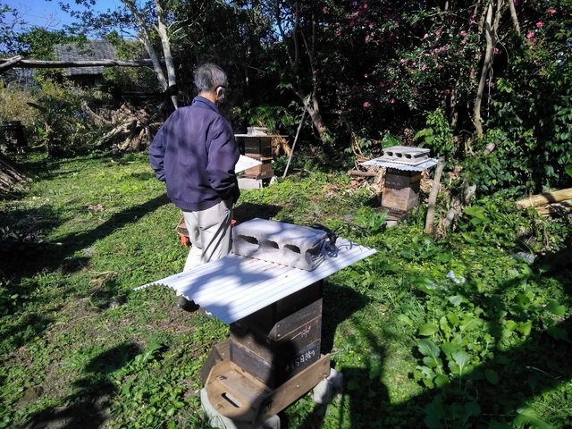 高野氏養蜂家.jpg