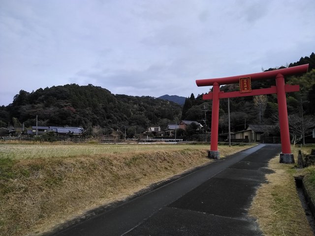 ①花尾神社鳥居8時40分.jpg