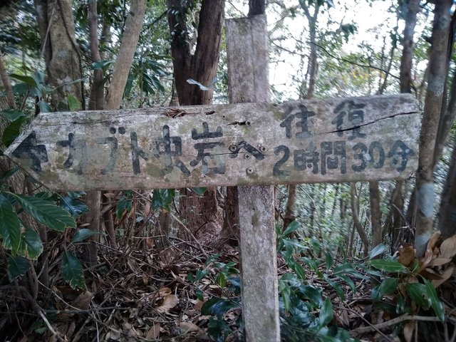 ④の後カブトムシ岩への時間.jpg
