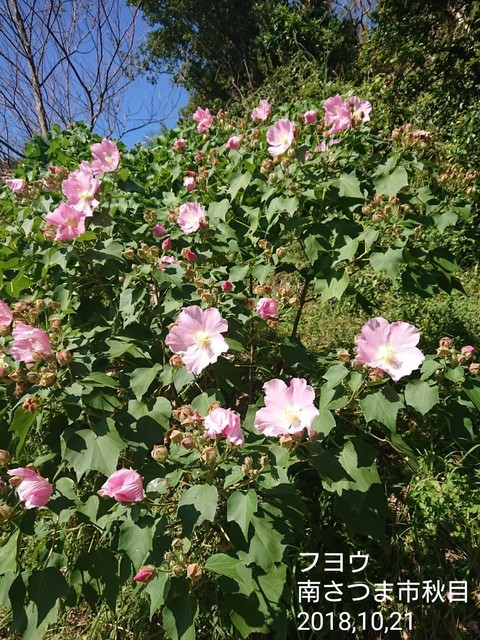 line_12275390210731.jpg