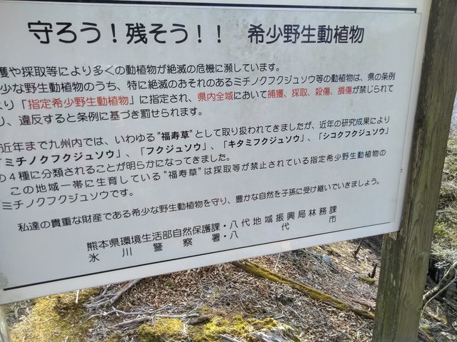 種類.jpg