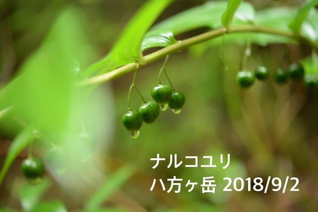 line_12281296699427.jpg