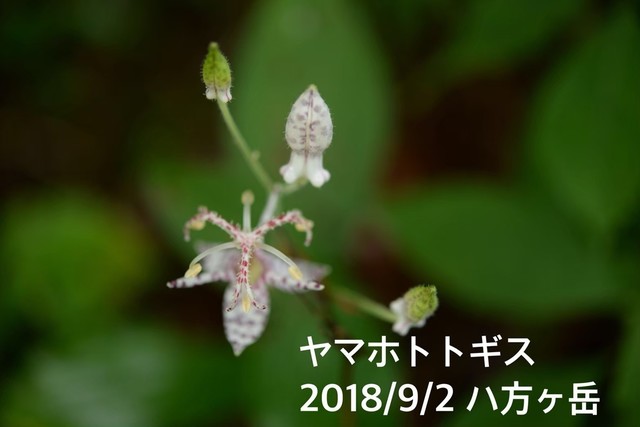 line_12282014075885.jpg