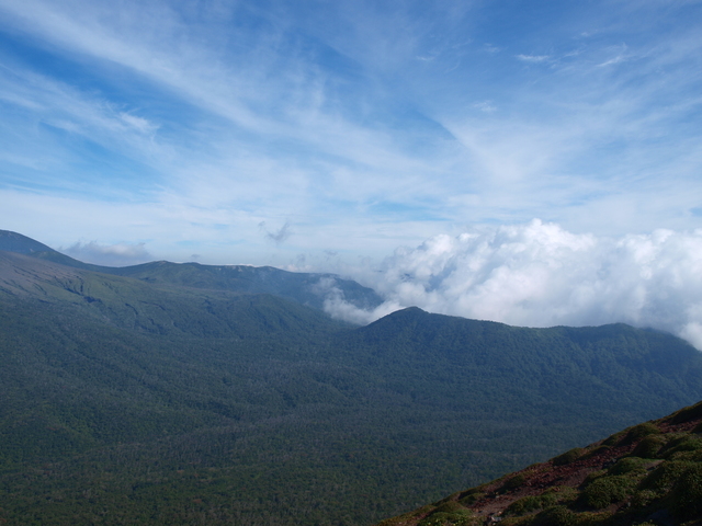 P9016654.JPG