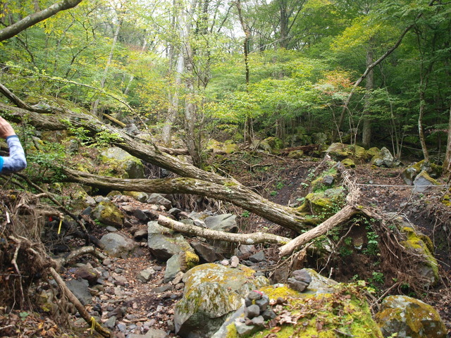荒れる登山道.JPG