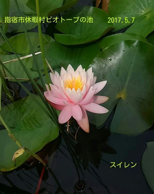 line_14442822598082.jpg