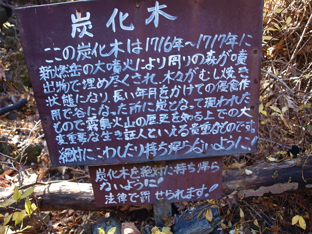 炭化木古.JPG