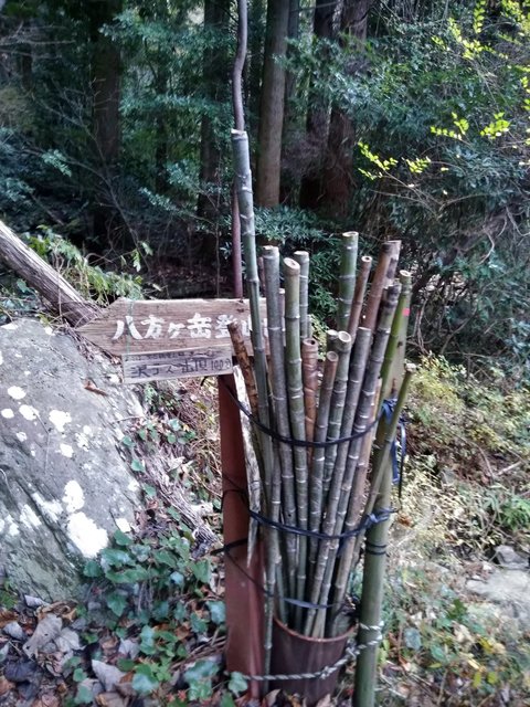 備え杖.jpg