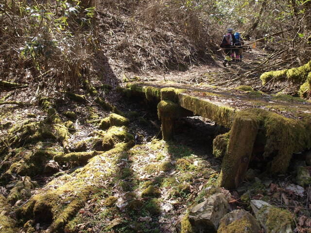 山中橋の8.JPG