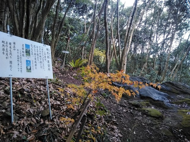岩と紅葉.jpg