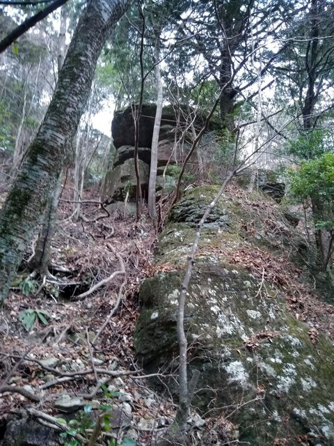 巨岩.jpg