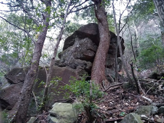 落下?巨岩.jpg