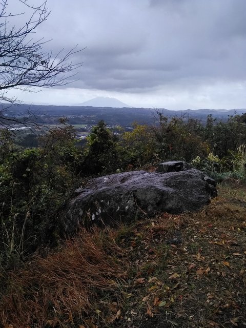 遥かに桜島.jpg