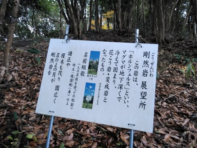 IMG_20221214_103415.jpg