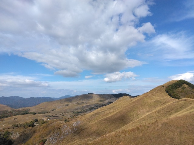 IMG_20241201_103540.jpg