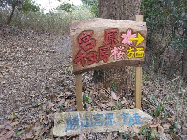 IMG_20250222_091753.jpg