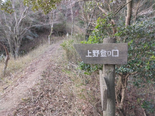 IMG_20250222_093615.jpg