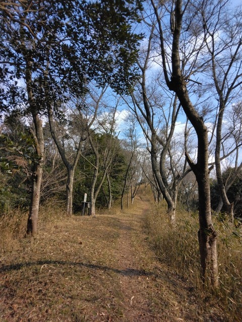 IMG_20250222_093626.jpg