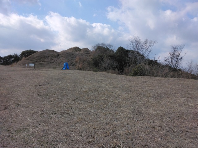 IMG_20250222_094334-e353a.jpg