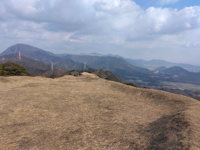IMG_20250222_094803.jpg