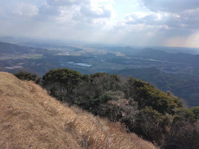 IMG_20250222_094809.jpg